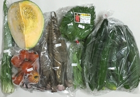 くり坊農園 元氣野菜セットM