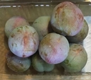 無肥料すもも