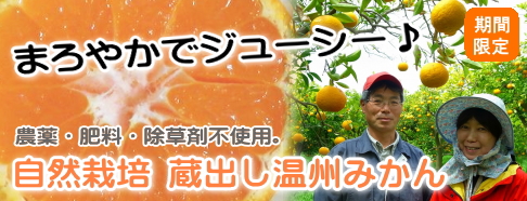 ���R�͔| ���o�����B�݂���