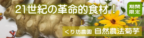くり坊農園 自然農法菊芋（キクイモ）