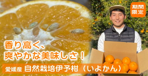 ���Q�Y ���R�͔| �ɗ\���i���悩��j