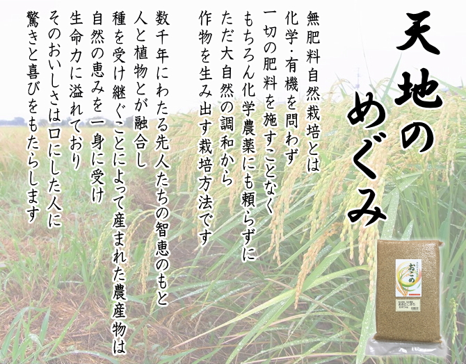 稲本さんの無肥料自然栽培米（熊本産）