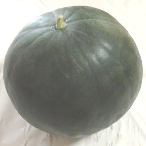 くり坊農園 自然農法スイカ